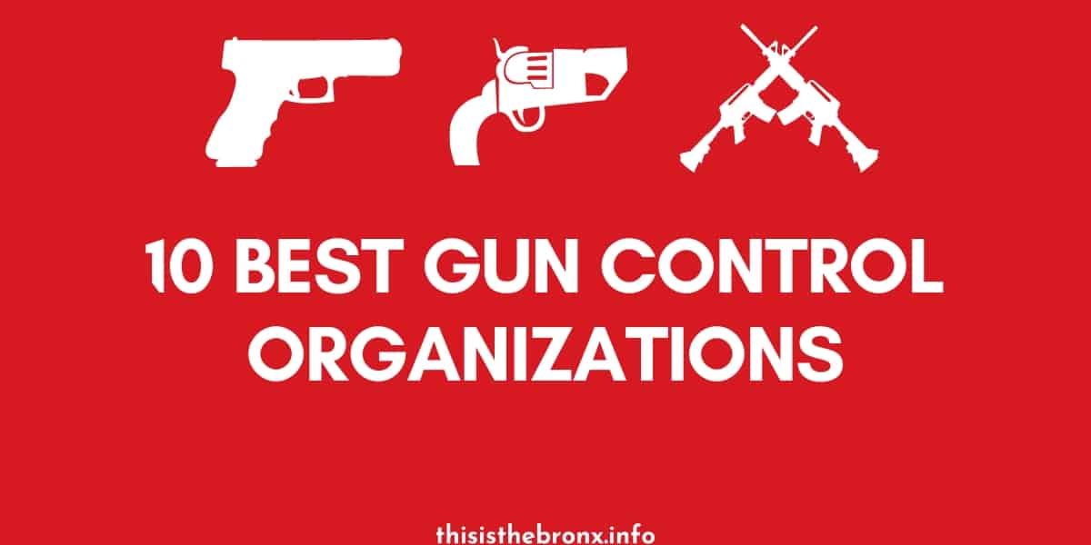 10 Best Gun Control Organizations