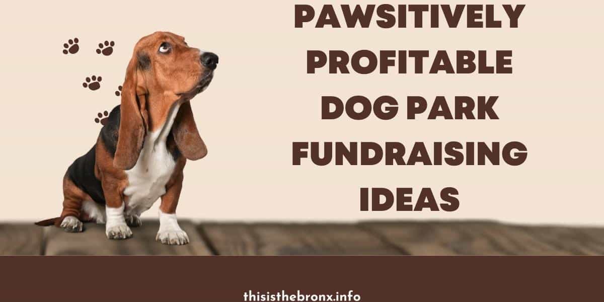 dog-park-fundraising-ideas-featured-img