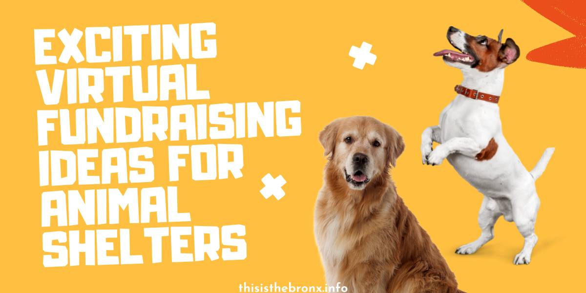 virtual-fundraising-ideas-for-animal-shelters-featured-img