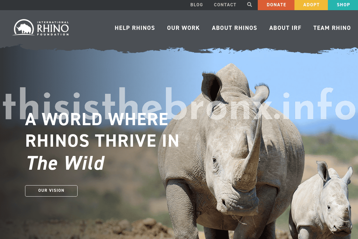 rhinos.org_